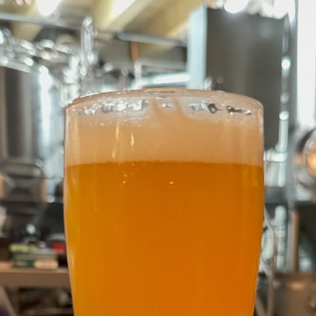Instagram @lobeerve の投稿写真