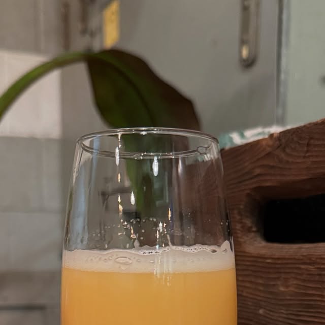 Instagram @lobeerve の投稿写真